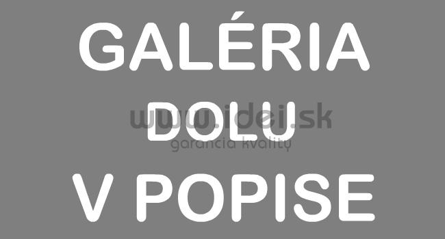 Sprchové dvere Aquatek TEKNOSOFT B2 115 cm s brzdiacim systémom SoftClose